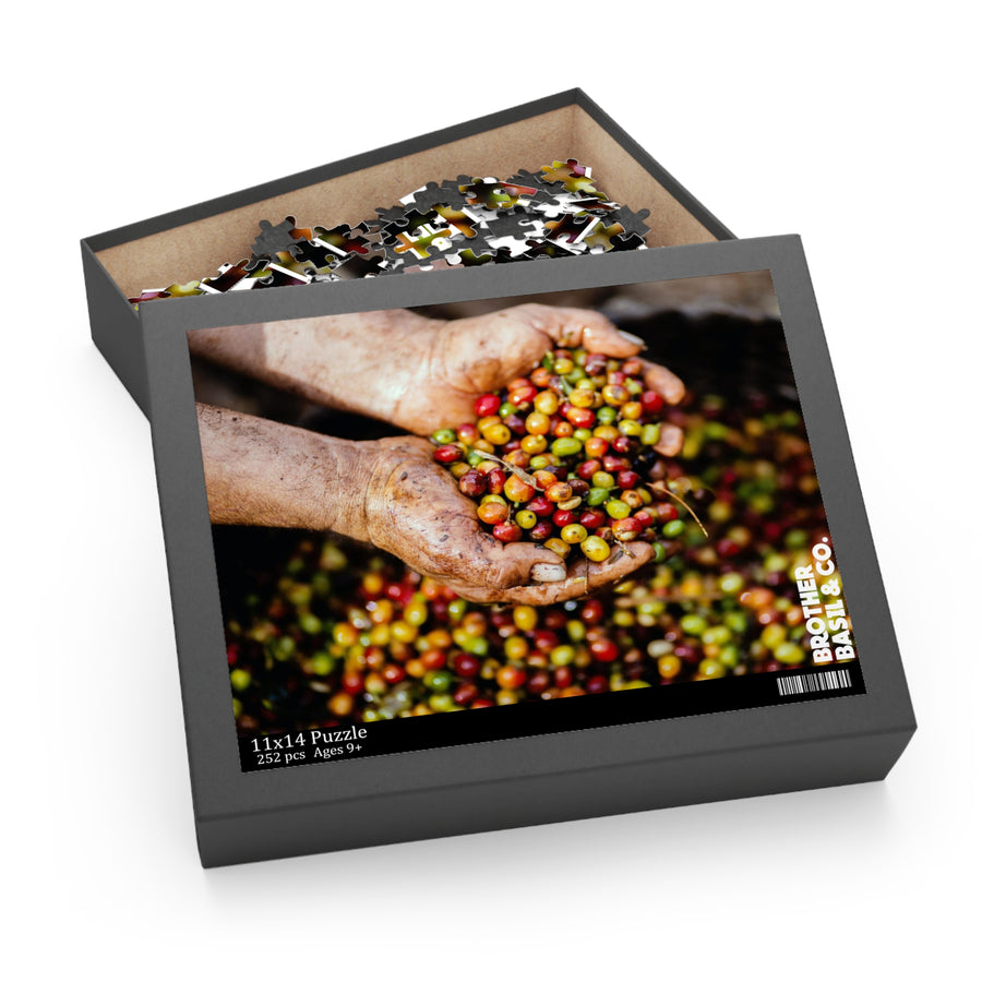 Coffee Berries Jigsaw Puzzle (500 Piece)